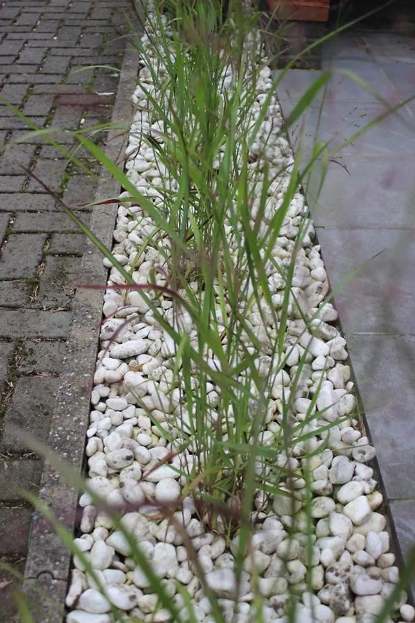 Bed & Breakfast Selemo B&B: Private Business & Leisure Retreat Ghent Belgium